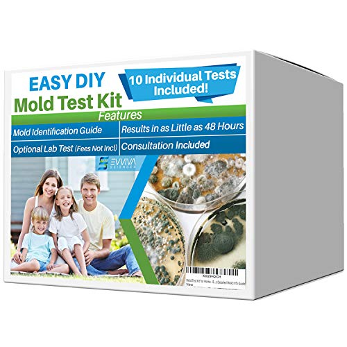 Evviva Sciences Mold Test Kit for Home - 10 Simple Mold Detection Tests - Optional Lab Analysis - Test HVAC System, Room Air, Home Surfaces for Molds/Spores - Includes Detailed Mold ID Guide