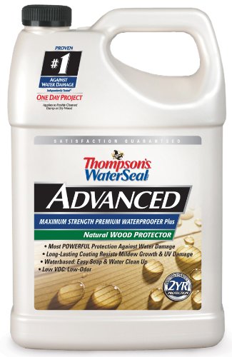 Thompsons WaterSeal TH.A21711-16 Advanced Natural Wood Protector, gallon