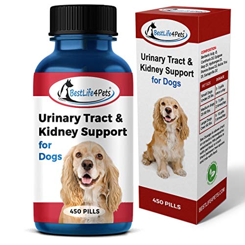 BestLife4Pets Dog UTI Bladder Support Supplement - Natural Urinary Tract Infection Treatment Relieves Painful Urine Incontinence Leaks - Reduces Bladder Infections - Prevents Pet Kidney Disease Stones
