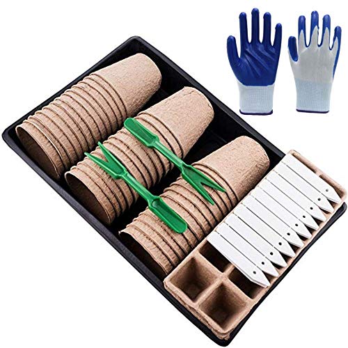 KLOX Biodegradable Seed Starter Kit Complete with Peat Pots, Peat Moss Trays & Gardening Tools for Seedling Starting Germination of Organic Vegetables, Greenhouse Plants, Seed Nursery & Flowers