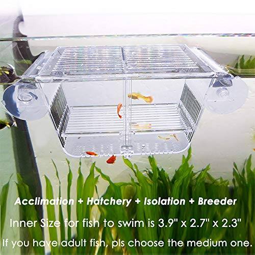 capetsma Fish Breeding Box, Acrylic Fish Isolation Box with Suction Cups, Aquarium Acclimation Hatchery Incubator for Baby Fishes Shrimp Clownfish and Guppy. Small Size (S)