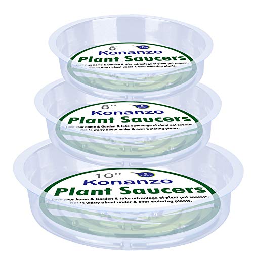 Konanzo Plant Saucer 15 Pack of Clear Plastic Saucers Drip Trays in Assorted Sizes (6 inch/8inch/10inch) Flower Pot Tray for Indoors & Outdoor Plants or Planter pots. (1, 6,8,10 inch)