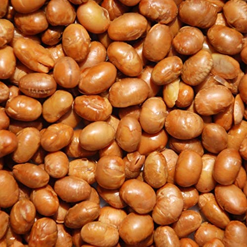 Organic Soy Nuts Roasted Salted by It's Delish, 1 lb (16 Oz) | Healthy & Crunchy Snack - Soybean Nuts Vegan & Kosher