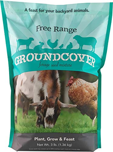 Barenbrug Free Range GroundCover Forage Seed Mixture Ideal for Chickens, Game Birds, Goats, and Sheep, 3 lbs, Blue