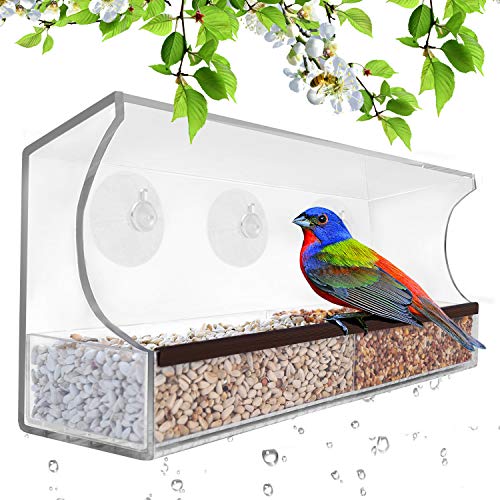 Deluxe Clear Window Bird Feeder, Large Wild Birdfeeder with Drain Holes, Removable Tray, Super Strong Suction Cups, Transparent Viewing, Covered, High Seed Capacity, Rubber Perch