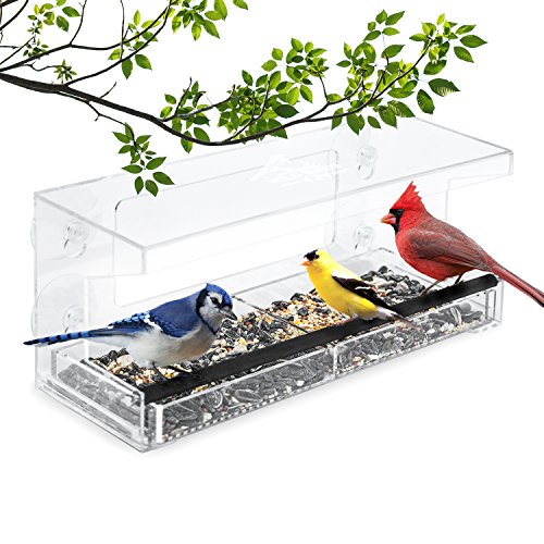 Wild Birds of Joy Window Bird Feeder with 4 Super Strong Suction Cups & Sliding Seed Tray, Large, Clear Acrylic, Easy Clean, Outdoor Bird Feeders, Outside View Up Close of Finch, Cardinal and Blue Jay