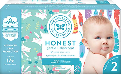 The Honest Company Club Box Diapers with TrueAbsorb Technology, Painted Feathers & Bunnies, Size 2, 76 Count