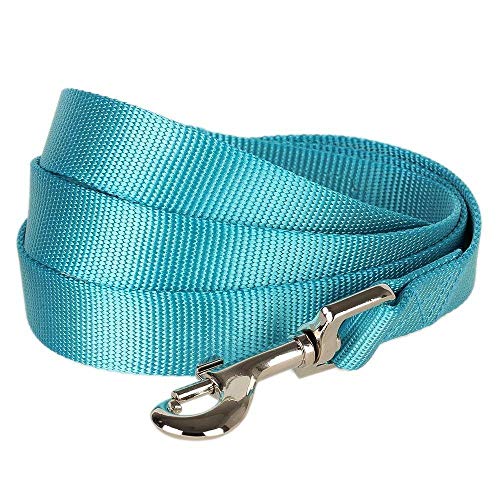 Blueberry Pet Essentials 19 Colors Durable Classic Dog Leash 5 ft x 3/4', Turquoise, Medium, Basic Nylon Leashes for Dogs