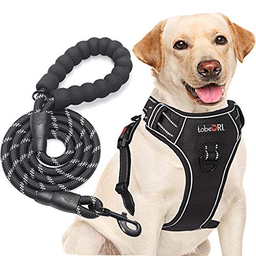 tobeDRI No Pull Dog Harness Adjustable Reflective Oxford Easy Control Medium Large Dog Harness with A Free Heavy Duty 5ft Dog Leash (L (Neck: 18'-25.5', Chest: 24.5'-33'), Black Harness+Leash)