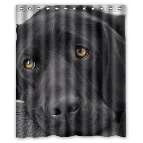 Ashasds Custom Shower Curtain Black Lab Labrador Retriever Dog for Home Bathroom Decorative Bath Curtains with Hooks 60 x 72 in