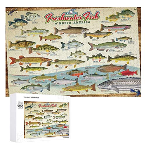 Jigsaw Puzzle 1000 Piece Freshwater Fish of North America Large Puzzle Game Artwork for Adults Teens for Educational Gift Home Decor (20x30inch)