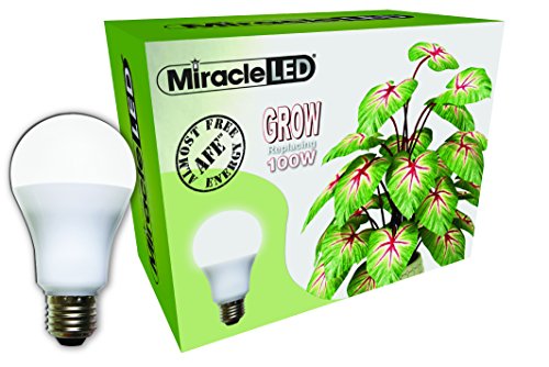 Miracle LED Almost Free Energy 100W Spectrum Grow Lite - Daylight White Full Spectrum LED Indoor Plant Growing Light Bulb for DIY Horticulture, Hydroponics, and Indoor Gardens (604293) Single Pack