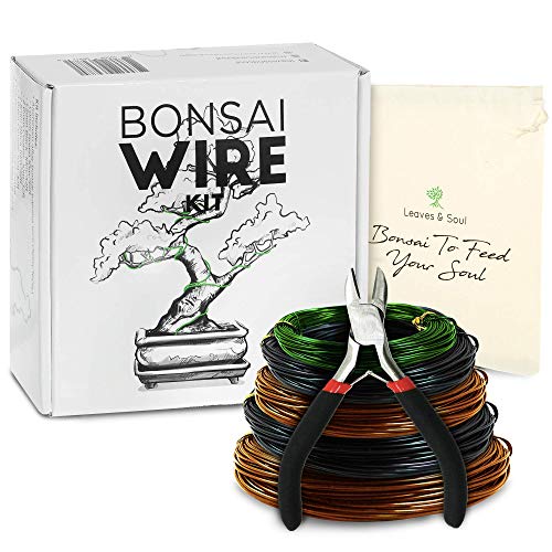 Leaves and Soul Tree Training Wire Kit - 5 Rolls (160ft) Aluminum Alloy Bonsai Plant Training Wire | Wire Cutter | Canvas Storage Bag - Bonsai Accessories for Beginners & Professionals