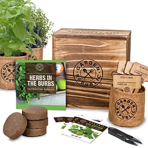 Indoor Herb Garden Starter Kit - Organic, Non GMO Herb Seeds - Basil Thyme Parsley Cilantro Seed, Potting Soil, Pots, Scissors - DIY Grow Kits for Growing Herbs Indoors, Kitchen, Balcony, Window Sill