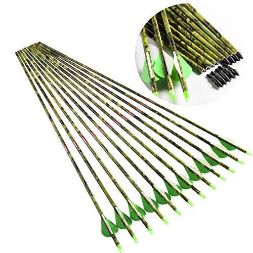 Linkboy Archery Spine 300 Carbon Arrows for Compound Recurve Long Bows Adult Hunting Practice 30 Inch Arrow Pack of 12PCS
