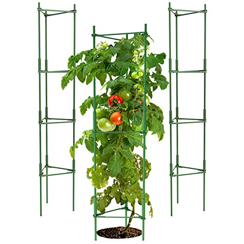 K-Brands Tomato Cage - Plant Stakes and Support with Clips (3 Pack - Upto 72 inches Tall)