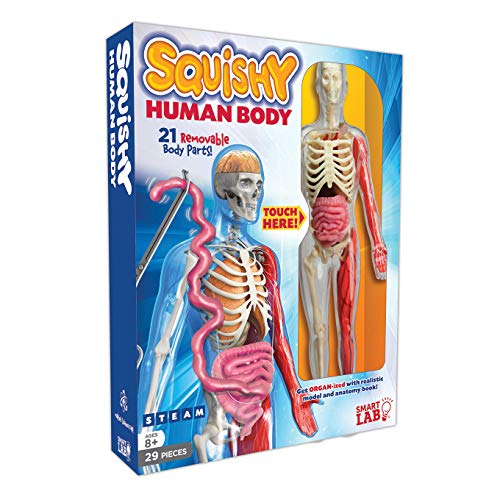 SmartLab Toys Squishy Human Body, Multicolor, Standard