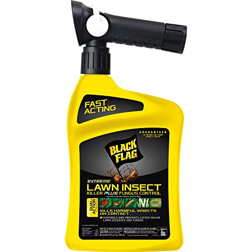 Black Flag Extreme Lawn Insect Killer + Fungus Control, 32 oz Ready-to-Spray