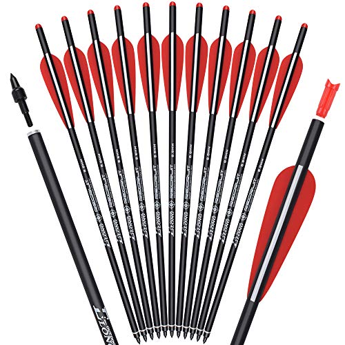 Carbon Crossbow Bolts 20 Inch Hunting Archery Arrows with 4' Vanes Replaced Arrowhead Tip (Pack of 12)