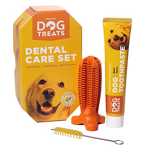 Natural Dog Treats Toothbrush Stick and Toothpaste Beef Flavor Dental Care Cleaning Set, 100% Natural Rubber Chew Toy for Dogs, Size Small