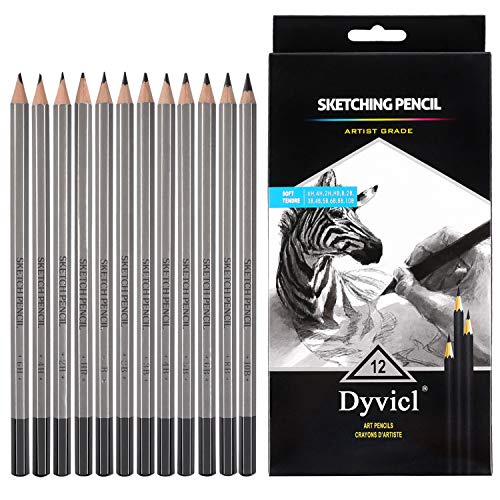 Professional Drawing Sketching Pencil Set - 12 Pieces Drawing Pencils 10B, 8B, 6B, 5B, 4B, 3B, 2B, B, HB, 2H, 4H, 6H Graphite Pencils for Beginners & Pro Artists