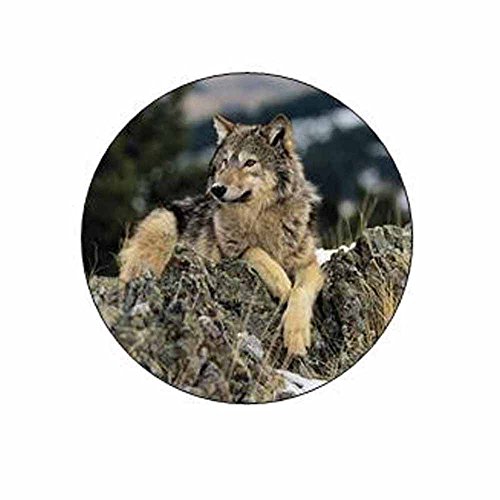 Wolf on Rocks Stickers - Gift Bag or Envelope Seals - Wolves Animal Theme Stationery Design - Party Favor Supplies - Set of 24