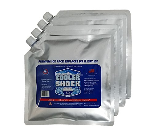 4 Mid-Size Cooler Freeze Packs 10x10 inch Screw Cap. The Coldest Pack at 18 Degrees F. No Ice Needed, Reusable. You Add Water & Save. C.S. Brand Packs Have 4,000 Reviews Avg. 4.6 Stars - Safe USA Made