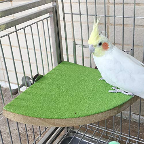 KINTOR Bird Perch Stand Birdcage Platform for Small Medium Parrot Rat Small Animal (7inch, Green)