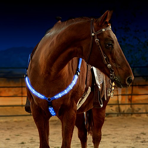 LED Horse Breastplate Collar - USB Rechargeable - Best High Visibility Tack For Horseback Riding - Adjustable, Sturdy & Comfortable Hi-Viz Equestrian Safety Gear - Makes Your Horse Visible and Seen