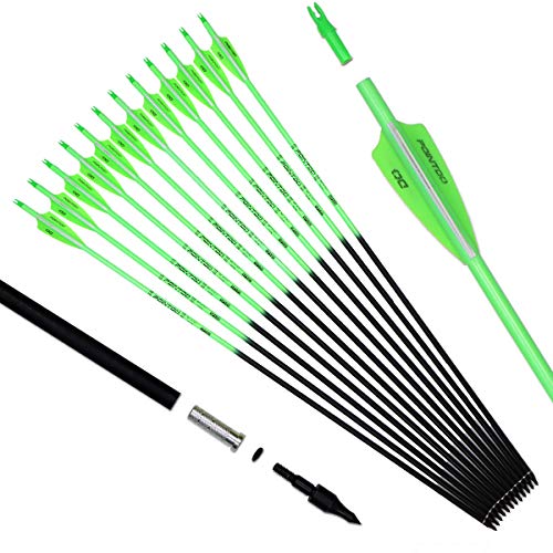 Pointdo 30inch Carbon Arrow Fluorescence Color Targeting and Hunting Practice Arrows for Recurve and Compound Bow with Removable Tips (Fluorescein Green)