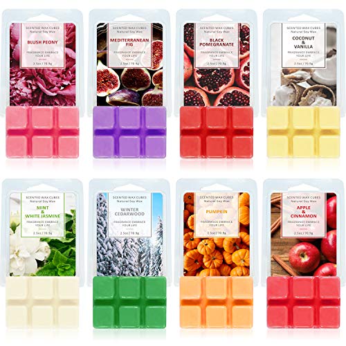 SCENTORINI Scented Wax Melts, 8x2.5 oz, Wax Cubes, Scented Soy Wax Melts