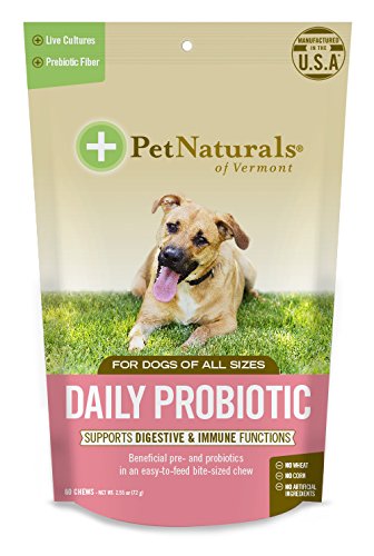 Pet Naturals of Vermont - Daily Probiotic for Dogs, Digestive Health Supplement, 60 Bite-Sized Chews
