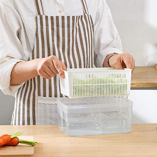 MOPMS Fresh Produce Vegetable Fruit Storage Containers For Refrigerator - Produce saver storage containers - Draining Crisper with Strainers-1.5L