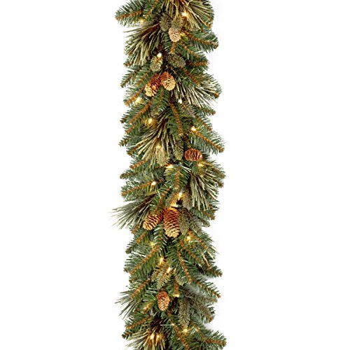 National Tree Company 'Feel Real' Pre-lit Artificial Christmas Garland | Flocked with Mixed Decorations and Lights | Carolina Pine - 9 ft