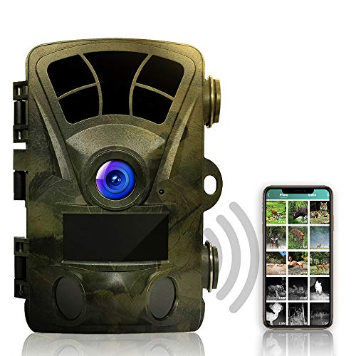 Rexing Woodlens H2-4K Wi-Fi Trail Camera, 20MP CMOS Motion Sensor with Ultra Night Vision Distance, 512GB, AV Output 12 Month Standby Surveillance Cam for Hunting Games and Wildlife Monitoring