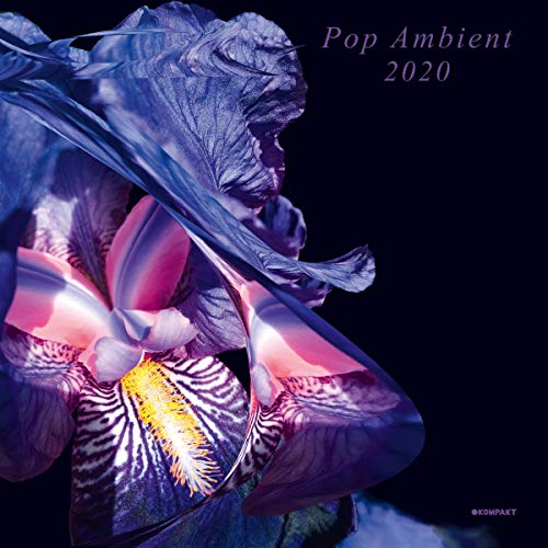 Pop Ambient 2020 (Various Artists)