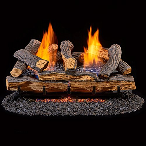 Duluth Forge DLS-24R-1 Ventless Dual Fuel Gas Log Set-Berkshire Split Oak-Remote Control, 24 Inch