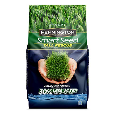 Pennington Smart Seed Tall Fescue Grass Seed, 3 lb