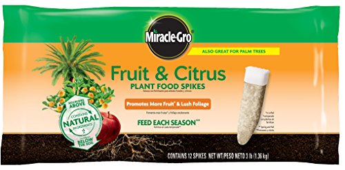 Miracle-Gro Fruit & Citrus Plant Food Spikes, 12 Spikes