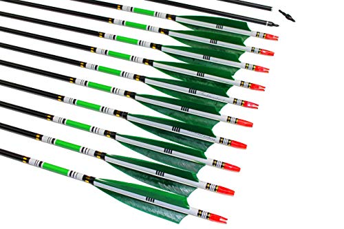 TTAD 31 inch Carbon Arrows Green Turkey Feather Targeting Arrows Archery with Screw-in Field Tips Hunting&Practice(12 Pack)