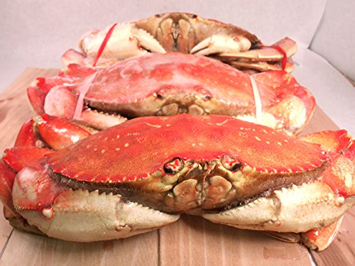 FRESH Cooked DUNGENESS CRABS (3 Large Crabs)