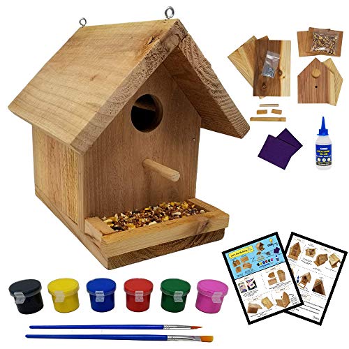 SparkJump Jr Birdhouse Kit | Cedar Wood for Outdoors | With Paint Set | Bird Feeder | DIY Crafts Woodworking Building Gardening Project for Kids, Adults, Family