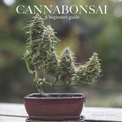 Cannabonsai: A Beginners Guide