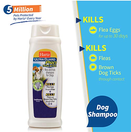 Hartz UltraGuard Plus Flea & Tick Shampoo for Dogs with Soothing Aloe
