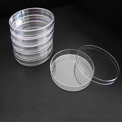 BIPEE Polystyrene Petri Dish 60 x 15mm, Sterile, Pack of 10