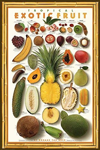 Picture Peddler Laminated Tropical Exotic Fruit Mango Food Kitchen Papaya Gourmet Poster Printint 24x36