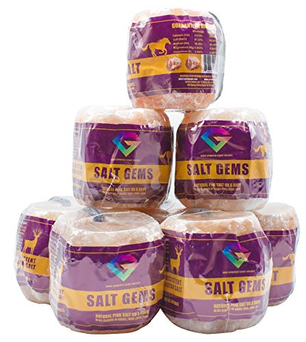 SALT GEMS 8 Pack Pure Natural Pink Himalayan Rock Salt Block Licks on a Rope for Animals, Horses, Deer, Goats, Cattle, Rabbits & Livestock - 6~8 lbs Each