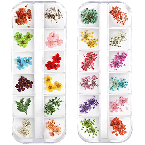 Teenior 24 Colors Nail Dried Flowers, 3D Nail Art Sticker for Tips Manicure Decor Mixed Accessories, Starry Leaves Flower (2 Boxes)