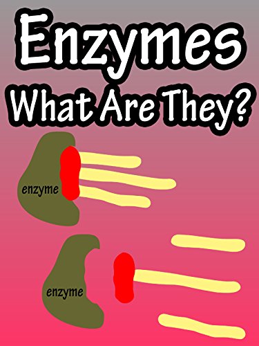 Enzymes, What Are They?