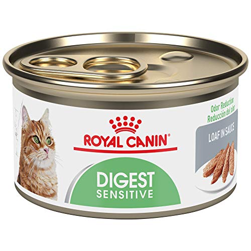 Royal Canin Feline Care Nutrition Digest Sensitive Loaf In Sauce Canned Cat Food, 3 oz Can (Pack of 24)